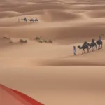 الشبرمي وش يرجع .. اصل عائلة الشبرمي من اي قبيلة
