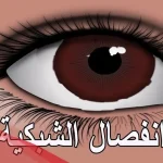 تجربتي مع انفصال الشبكية عالم حواء