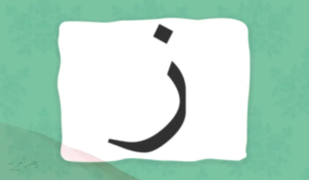 نبات بحرف ز، إسم 5 نباتات تبدأ بحرف الزاي