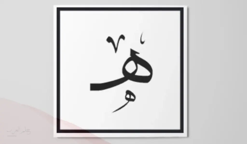 نبات بحرف الهاء .. تعرف على اسم أشهر 5 نباتات تبدأ بحرف ه