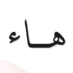 نبات بحرف الهاء .. تعرف على اسم أشهر 5 نباتات تبدأ بحرف ه