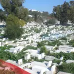 تفسير حلم القبور الكثيرة في المنام لابن سيرين