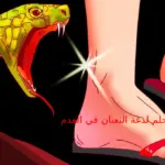 تفسير حلم لدغة الثعبان في القدم للمتزوجة