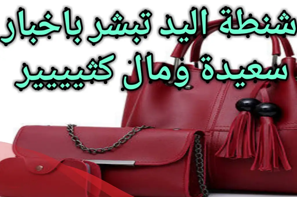 تفسير حلم الشنطة الجديدة في المنام
