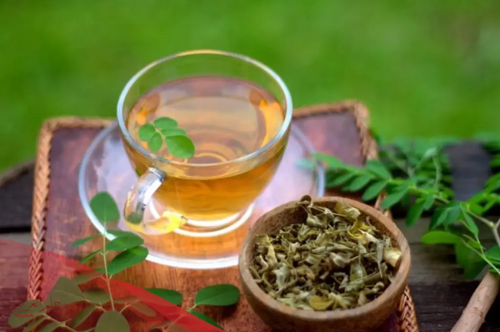 متى يشرب شاي المورينجا للتخسيس وأفضل وقت لتناوله؟