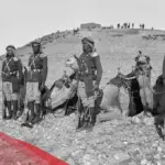 شجرة قبيلة حرب كاملة مع الأنساب