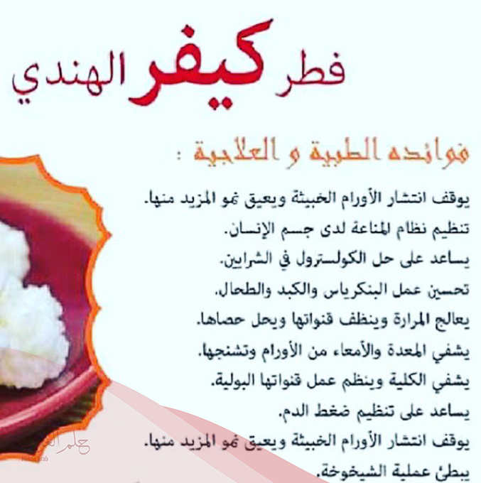 الكفير في الطب النبوي فوائده واضراره وأهم استخداماته