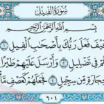 قضاء الحاجة بسرعة رهيبة بسورة الفيل