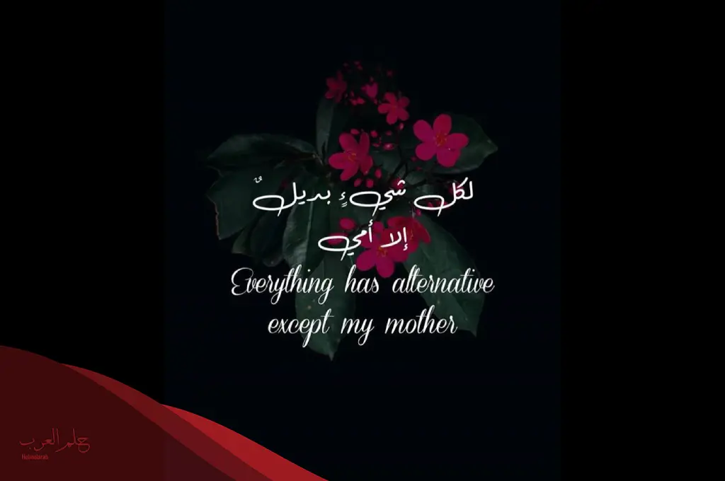كلام عن الام يهز المشاعر .. أجمل كلام عن الام مؤثر