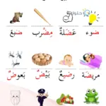 10 كلمات بحرف الضاد