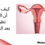 كيف أعرف أن الرحم نظيف بعد النفاس