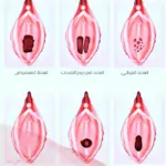 كيف اعرف اني عذراء باللمس