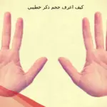 كيف اعرف حجم ذكر خطيبي