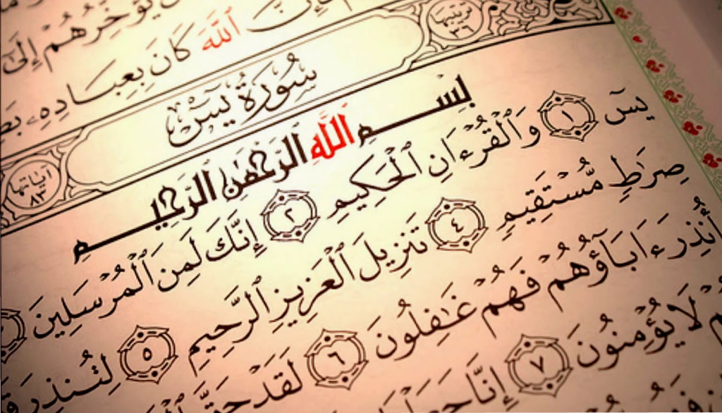 قضاء الحاجة بسرعة رهيبة بسورة الفيل