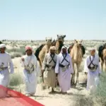 ما هي عيارة الحروب؟ وما سبب عيارة الحروب الصمغان