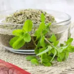 متى اشرب البردقوش للحمل وما هي أبرز فوائده
