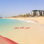 ما معنى كلمة بيتش بالعربي