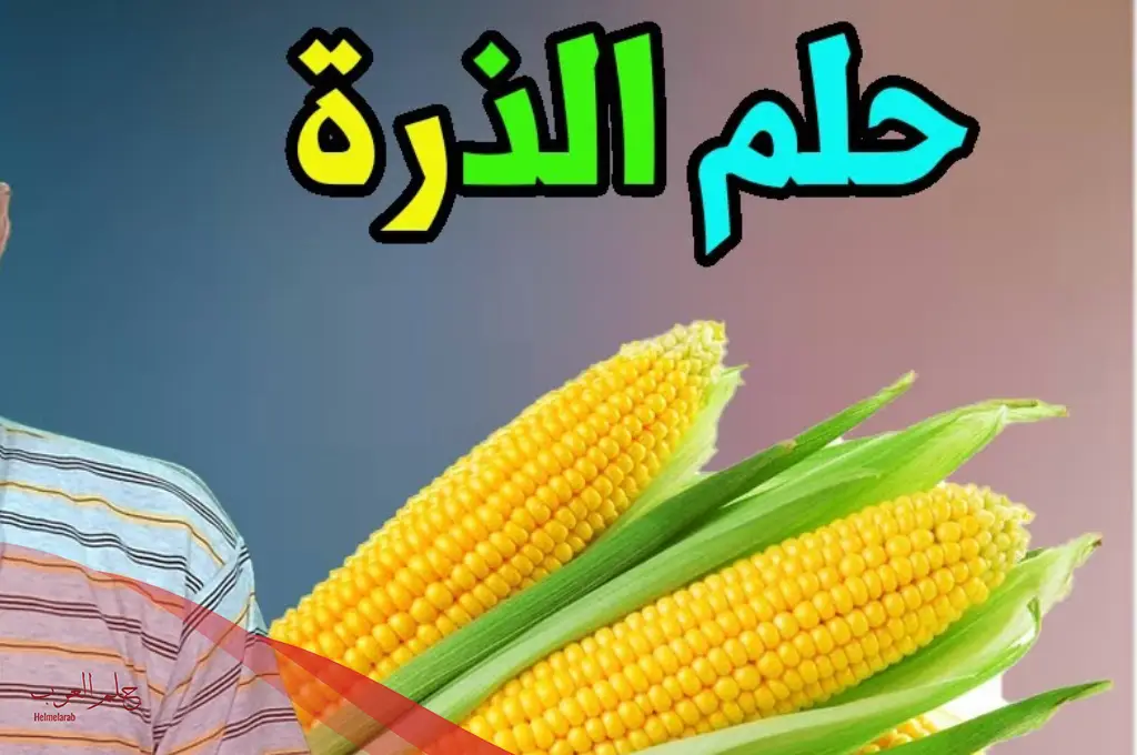 تفسير حلم الذرة في المنام لابن سيرين