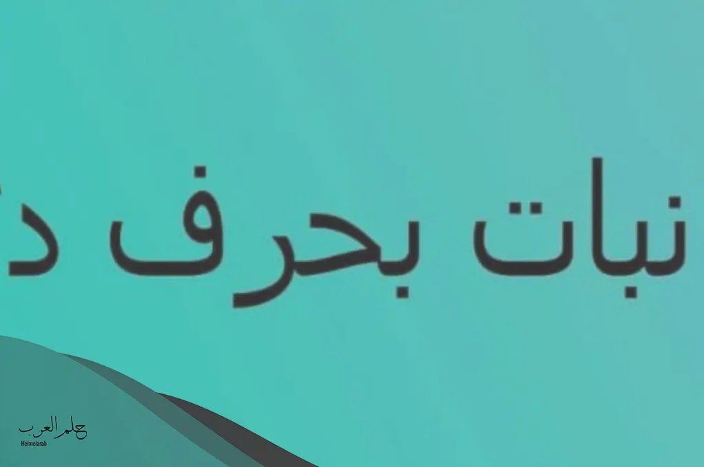 اسم نبات بحرف الدال ومعلومات عن 5 نباتات بحرف الدال