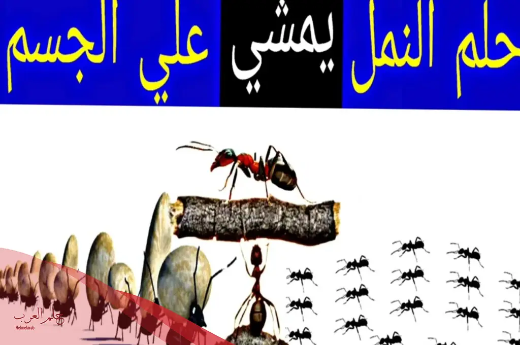 تفسير حلم نمل يمشي على جسمي في المنام لابن سيرين