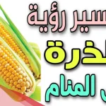 تفسير حلم الذرة في المنام لابن سيرين