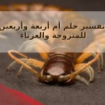 تفسير حلم أم أربعة وأربعين للمتزوجة والعزباء