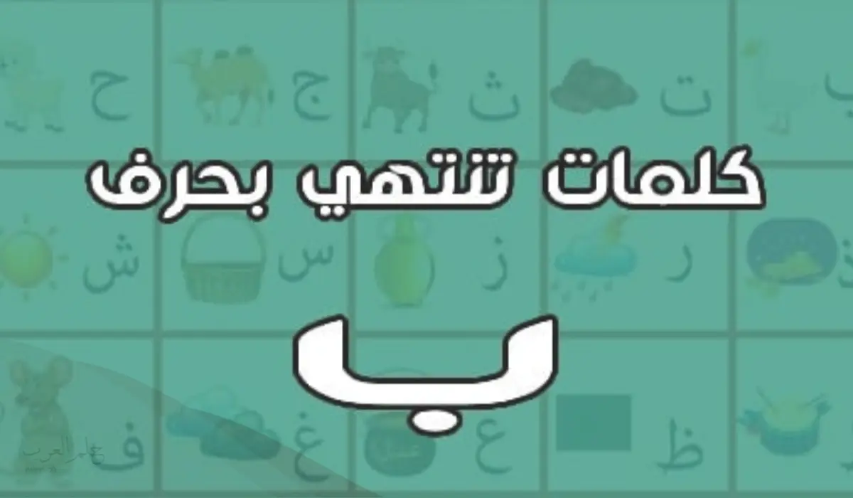 كلمات تنتهي بحرف الباء أكثر من 50 كلمة تنتهي بحرف ب