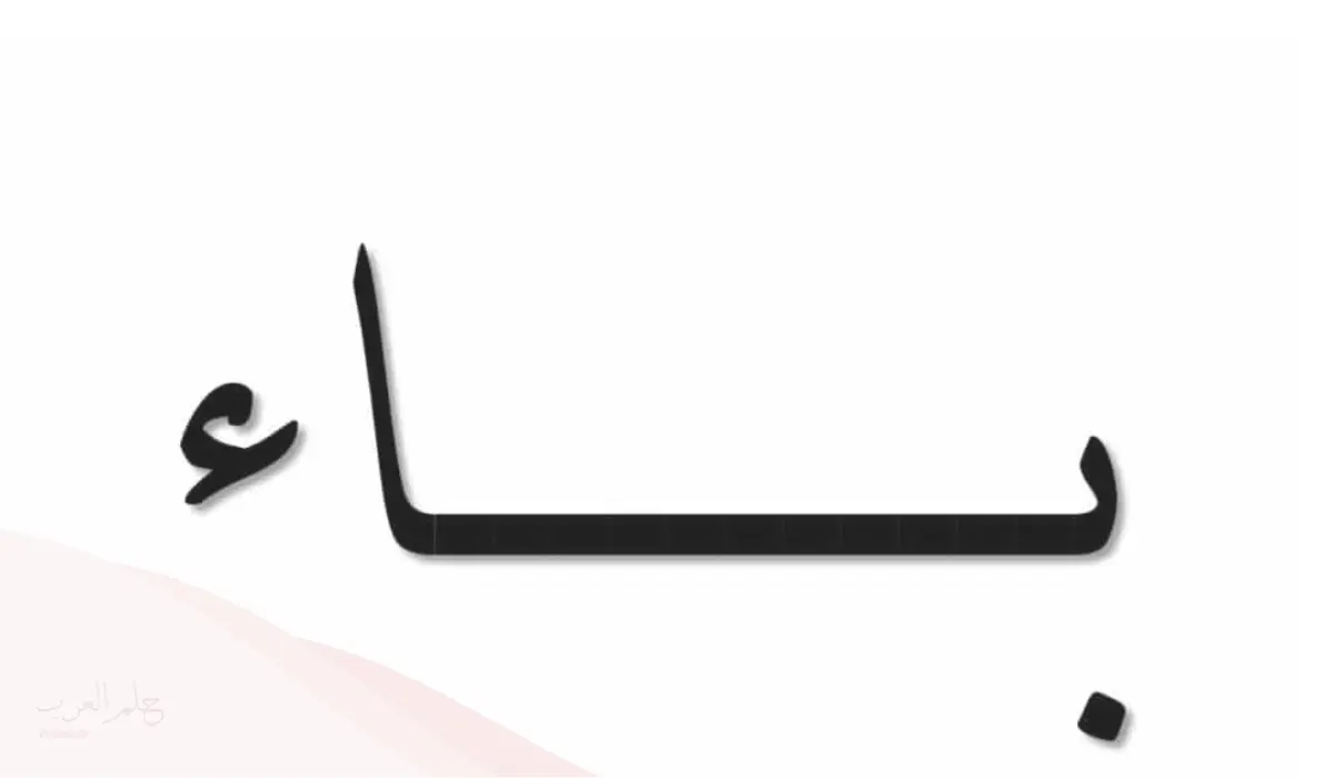 كلمات تنتهي بحرف الباء أكثر من 50 كلمة تنتهي بحرف ب
