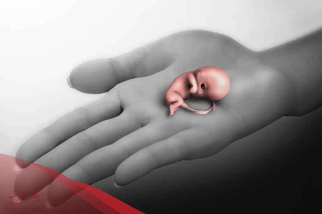 متى يتوقف الدم بعد الاجهاض بدون تنظيف
