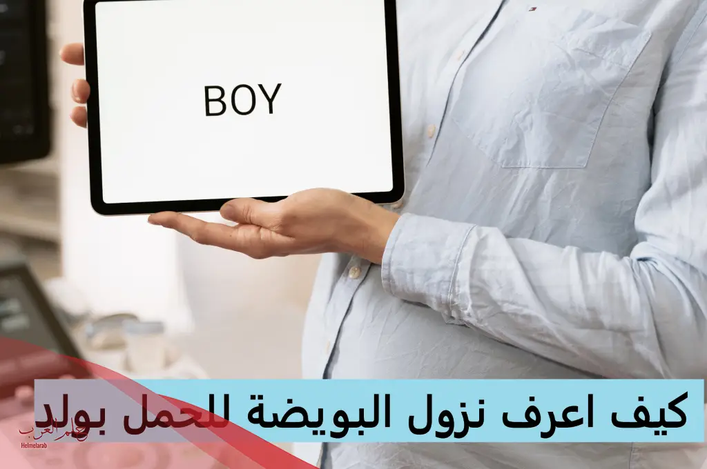كيف اعرف نزول البويضة للحمل بولد