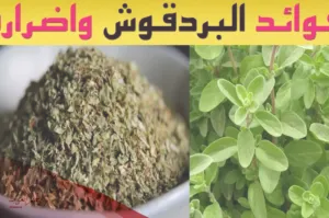 طريقة استعمال البردقوش للحمل السريع في 4 خطوات فقط