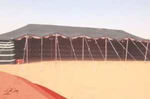 أصل عائلة ابو نيان من وين