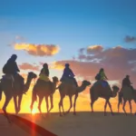 البواردي وش يرجع، أصل وشجرة عائلة البواردي