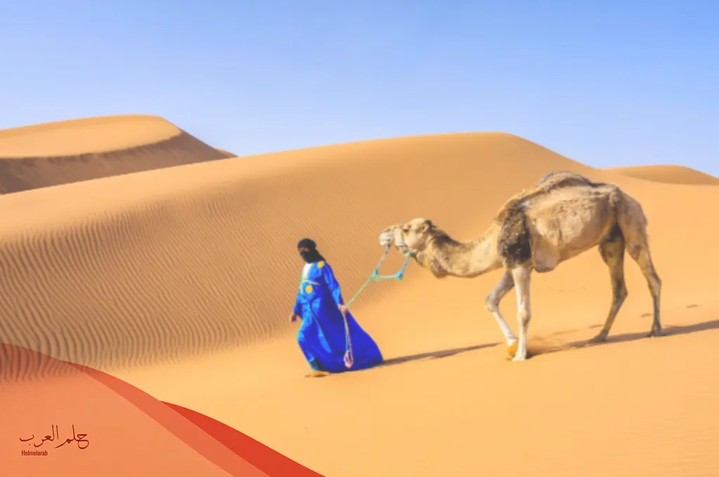 المرشدي وش يرجع أصل وشجرة قبيلة المراشدة
