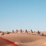 الزيد وش يرجعون .. أصل وشجرة عائلة الزيد