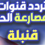 تردد قناة الحلبه للمصارعه الجديد 2024 HD نايل سات وعرب سات