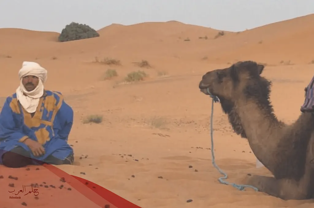البواردي وش يرجع، أصل وشجرة عائلة البواردي
