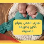 تجارب الحمل بتوأم ذكور بطريقة مضمونة
