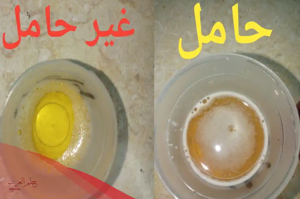 كيف اعرف اني حامل بدون تحليل عالم حواء