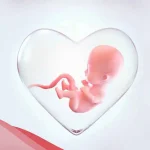 هل يستفيد الجنين من مني الرجل وأبرز فوائد المني للجنين