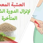 وصفة العشبة المعجزة لإنزال الدورة الشهرية