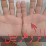صفات الانسان الزهري بالصور وما هي علامات وقدرات الشخص الزوهري