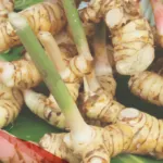 “فوائد الخولنجان للانتصاب وكيفية استخدامه الصحيح “