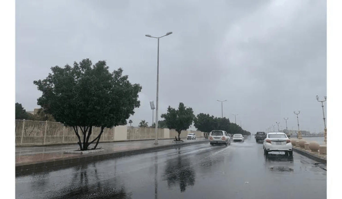 الأرصاد.. تحذر من أجواء غير مستقرة في الأيام القادمة “اعرف التفاصيل” الأرصاد.. تحذر من أجواء غير مستقرة في الأيام القادمة “اعرف التفاصيل”