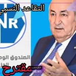بالرابط المباشر.. الاستعلام عن نتيجة التقاعد النسبي في الجزائر 2024
