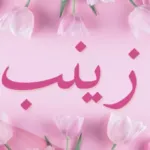 تفسير حلم اسم زينب في المنام للعزباء