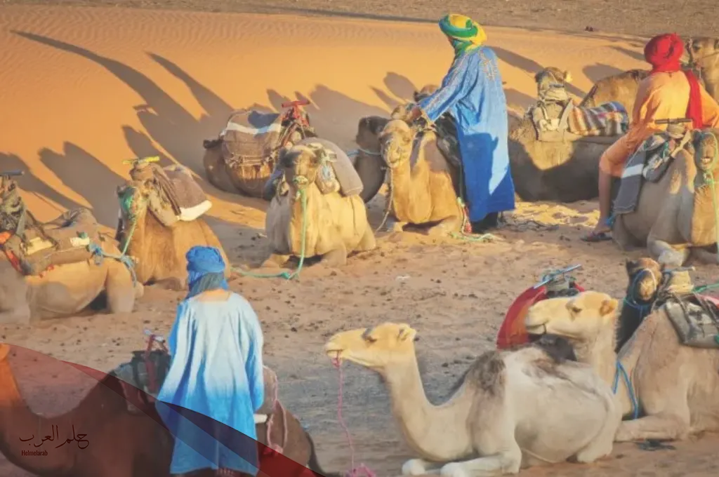 القميزي وش يرجعون .. شجرة عائلة القميزي