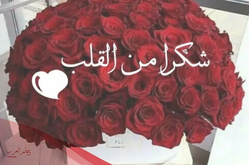 كلمات شكر وثناء لشخص عزيز .. أجمل 10 عبارات شكر وثناء مكتوبة
