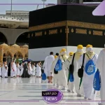 بعد أزمة الحجاج.. الحكومة المصرية تقرر سحب ترخيص العمل لأكثر من 16 شركة سياحة!!