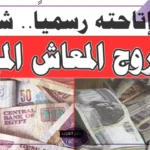 التأمينات الاجتماعية.. تعلن عن شروط الخروج على المعاش المبكر